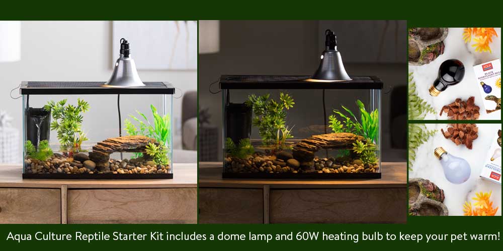 Aquatic Habitat Set Up Enclosure Water Tank Starter Kit Reptile Turtle Frog 10ga 