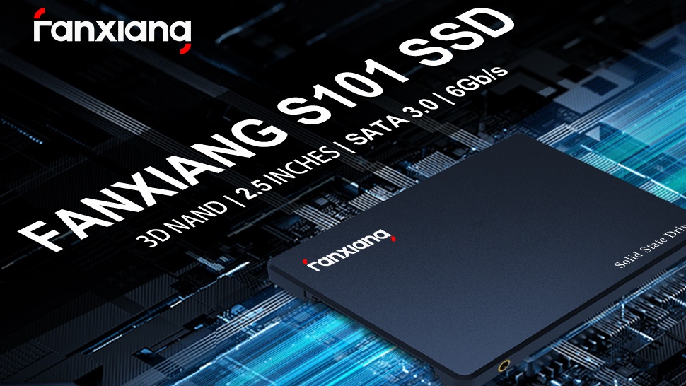 fanxiang S101 512GB SSD SATA III 6Gb/s 2.5 Internal Solid State Drive,  Read Speed up to 550MB/sec, Compatible with Laptop and PC Desktops(Black)