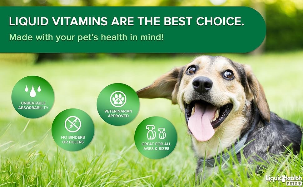 Best liquid outlet dog vitamins