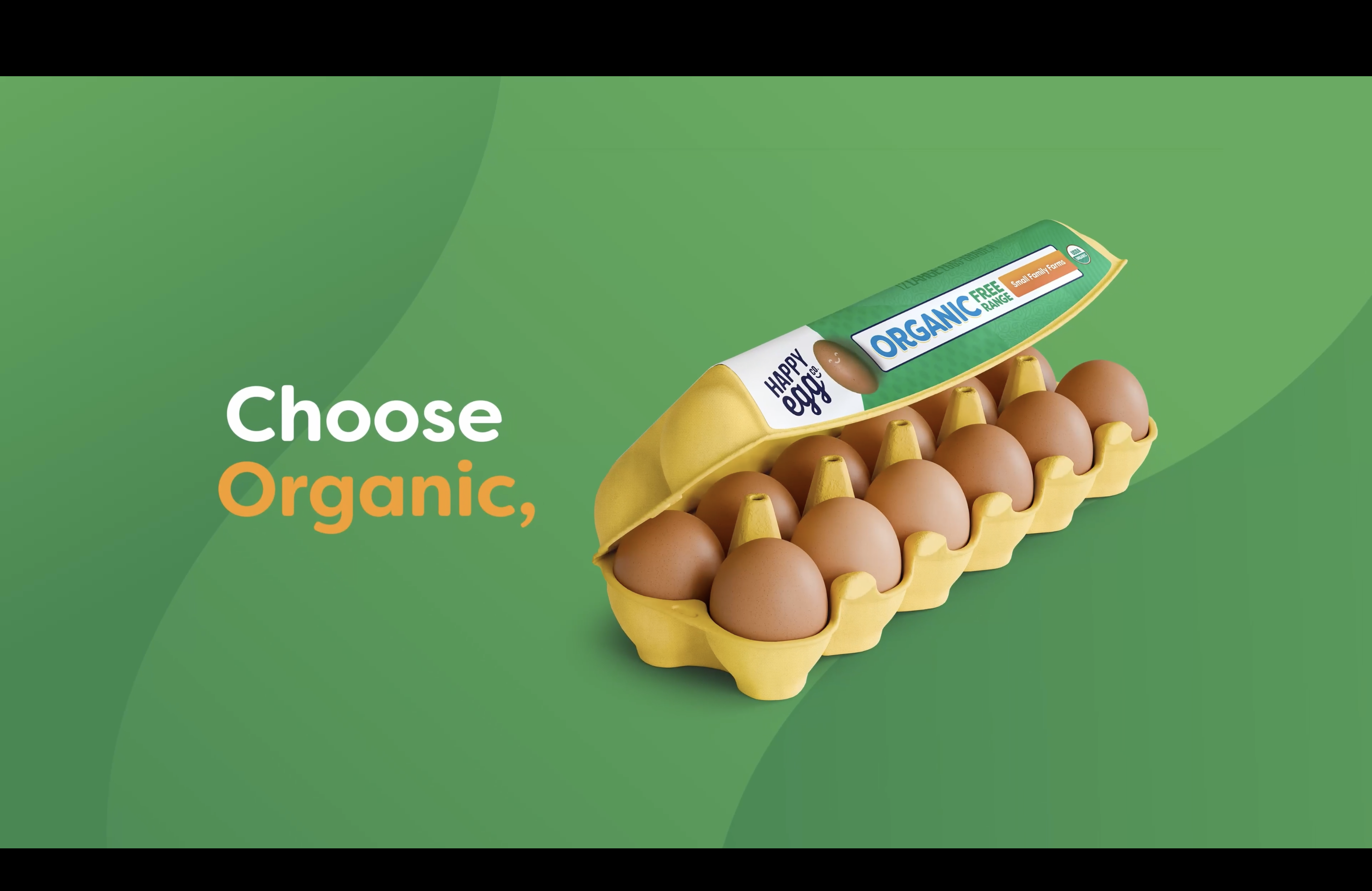 Happy Egg Co Organic Free-Range Large Brown Eggs, 18 Count