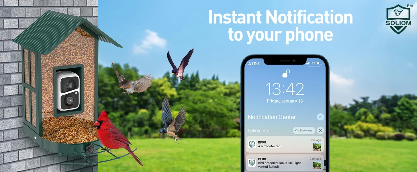 Soliom BF08-Smart Bird Feeder Camera with AI Identify Bird Species, Wild Bird Watching Video Camera with Live,Motion Activated,Instant Notifications