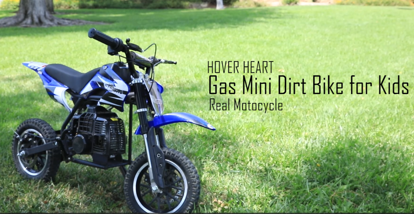 Kids Mini 50cc Gas Dirt Bike, DB1 Model 2 Stroke Ride On Bike with Off-Road Tire, Shocks, Pull Start, Oil Mixed Required, Support Up to 165lbs