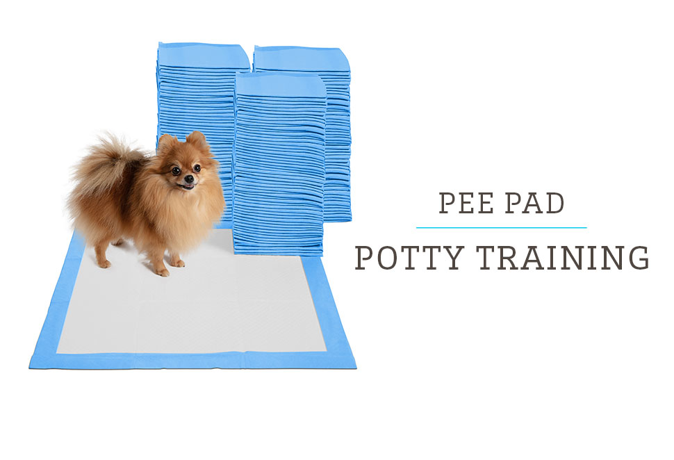 Tucker Murphy Pet™ Puppy Pee Pads 23.6''X35.4''-20 Count, Dog Pee Training  Pads Super Absorbent & Leak-Proof, Disposable Pet Piddle And Potty Pads  For Puppies, Dogs, Doggie, Cats