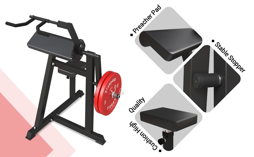  GMWD Bicep Tricep Curl Machine, 380LBS Plate Loaded Bicep Curls  and Tricep Extension Machine, 2 in 1 Exercise Equipment for Home Gym  Workout Station, Black : Sports & Outdoors