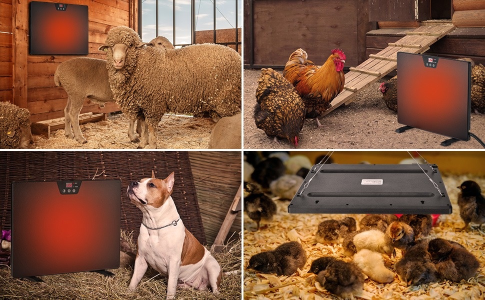 Winpull Chicken Coop Heater, Portable Radiant Chicken Heater, 5 Timing and  3 Temperature Levels, 100/200W Coop Heater with Thermostat Energy Efficient