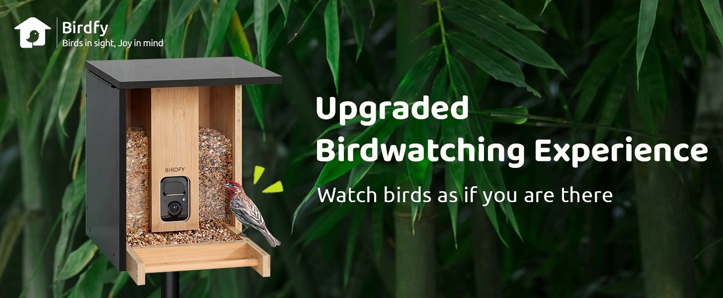 Birdfy Feeder Bamboo - Bamboo Wood Bird Feeder Camera – netvue