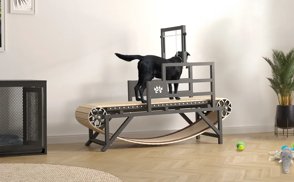 PawPaw's Dog Treadmill for Large Dogs, Medium Dogs. Dog Slatmill for  Healthy & Fit Dog Life, Dog Treadmill for Indoor & Outdoor. Dog Treadmill  for