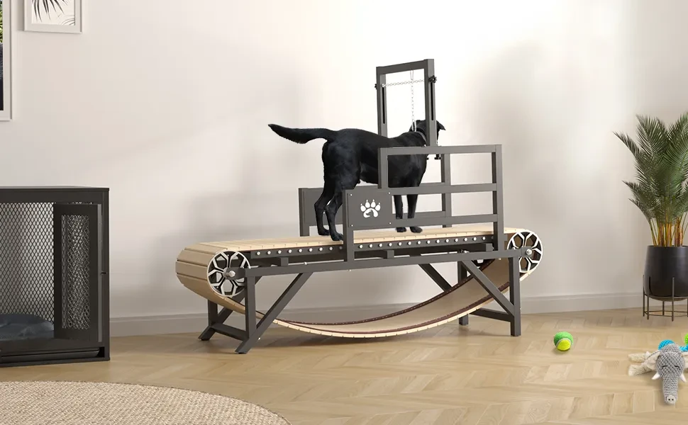 Syedee Dog Treadmill for Large Dogs, Dog Slatmill for Healthy