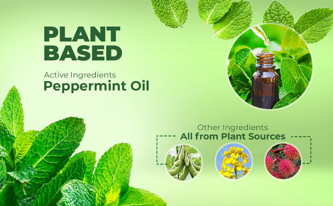 Non-toxic insect control: The benefits of peppermint oil – Dr. Killigan's