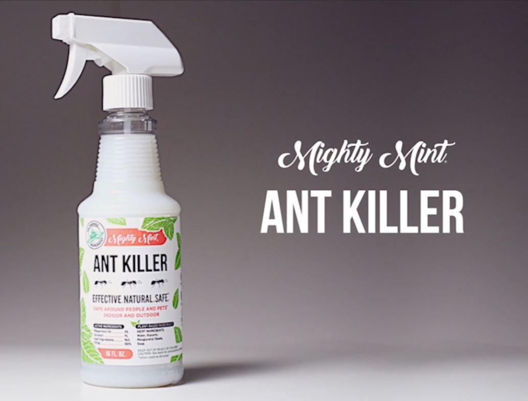 Natural Peppermint Oil Ant Killer Repellent Spray 16oz 5915