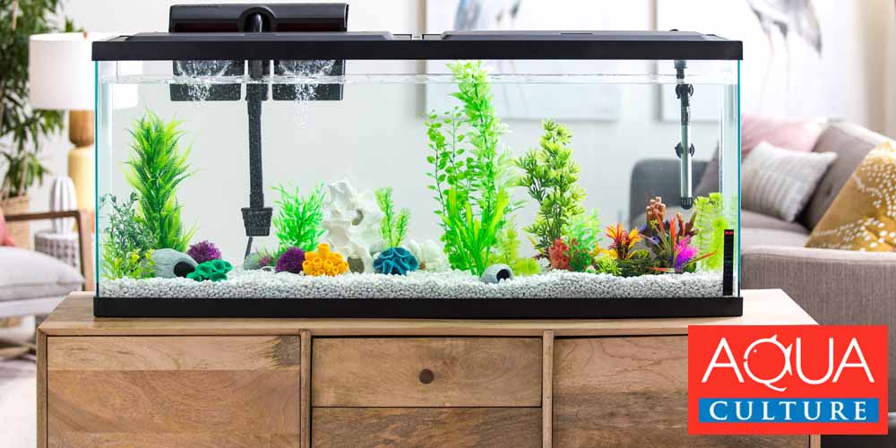 Walmart 55 clearance gallon fish tank