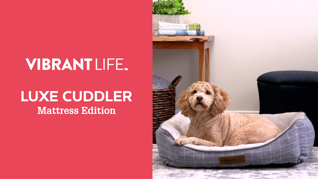 Vibrant Life Luxe Cuddler Mattress Edition