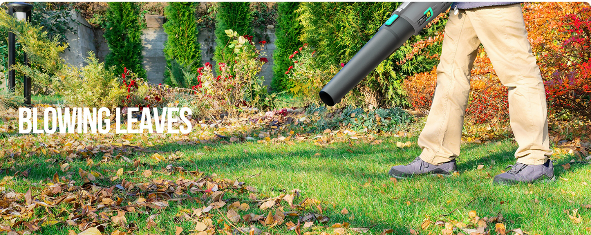 Litheli Cordless Leaf Blower 40V, Battery Leaf Blowers for Lawn Care, —  CHIMIYA