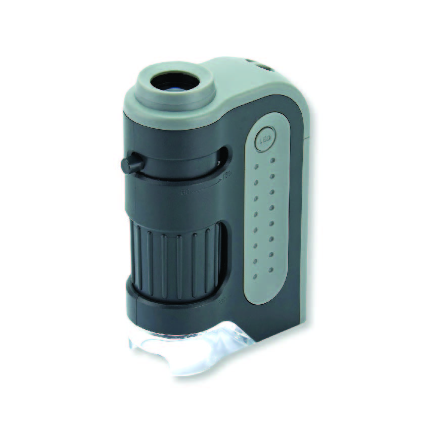 Carson MicroMini™ 20x LED Lighted Pocket Microscope with Built-In UV and  LED Flashlight, Orange 