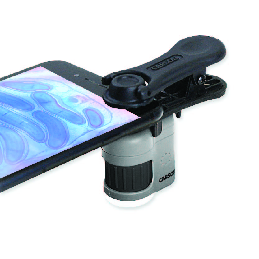 Carson 100x-250x MicroFlip LED Microscope (4 Pack)