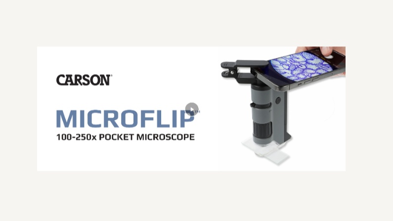 Carson MicroFlip 100x-250x LED Lighted Pocket Microscope with Flip Down  Slide Base, Smartphone Adapter Clip, and UV Flash 