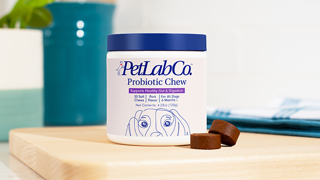 PetLab Co. Probiotic Chews, Digestive Supplement For Canine Gut Health ...