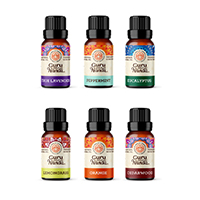 Guru Nanda Essential Oil for Diffusers - Set of 6 Therapeutic Grade  -Variety Blended Scents